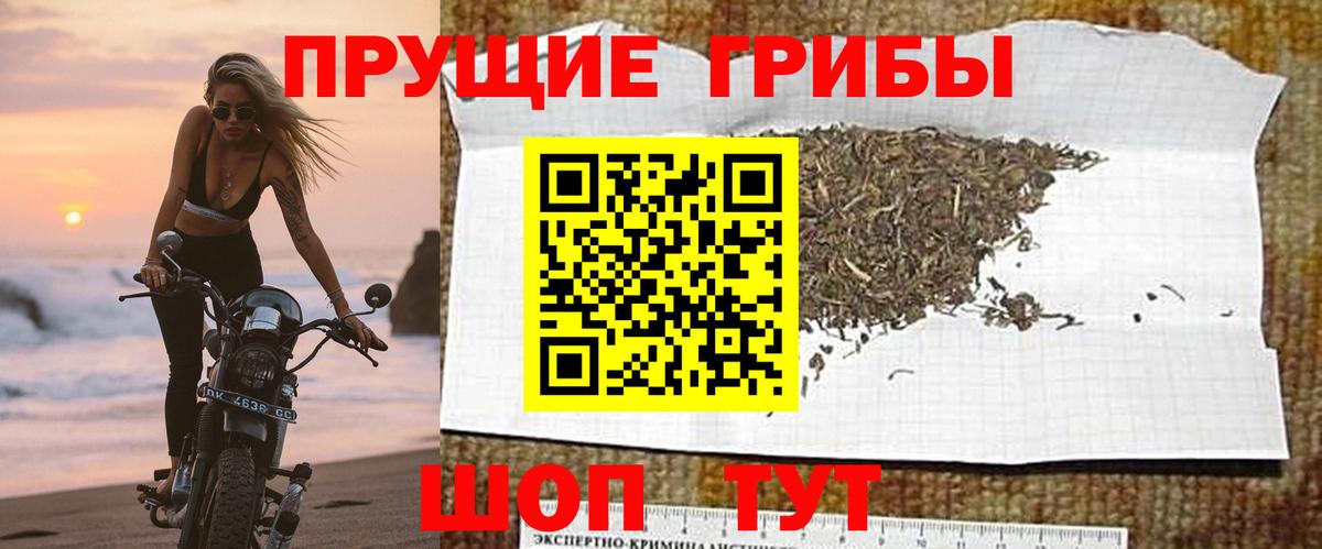Галлюциногенные грибы мухоморы Пыть-Ях